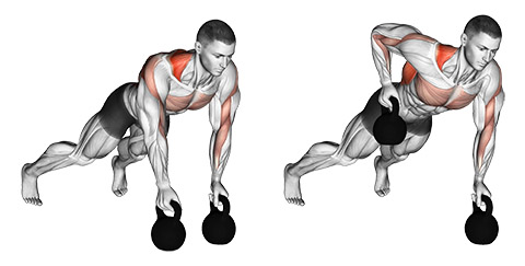 Ultimate Guide to Renegade Rows for Total Body Strength and Stability