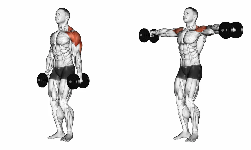 Maximize Shoulder Growth with Effective DB Lateral Raise Techniques