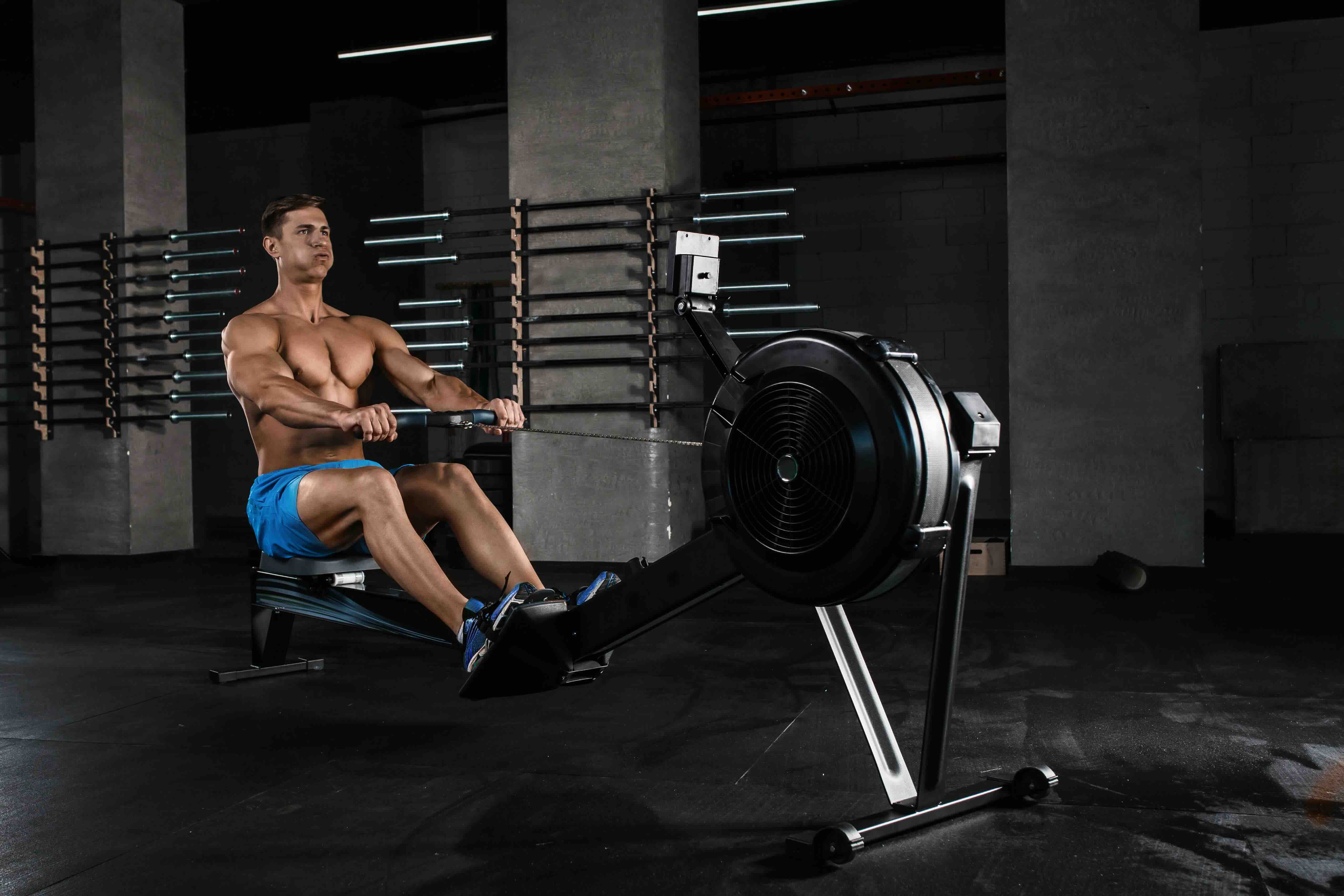 Maximize Your Workout: The Benefits of the Seated Row Machine for Strength Training