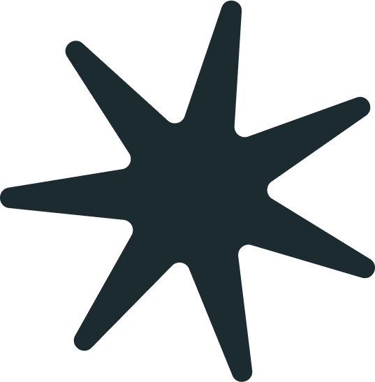 This is a star icon used by Studio Anemone throughout it's branding, in this case the colour is a midnight blue