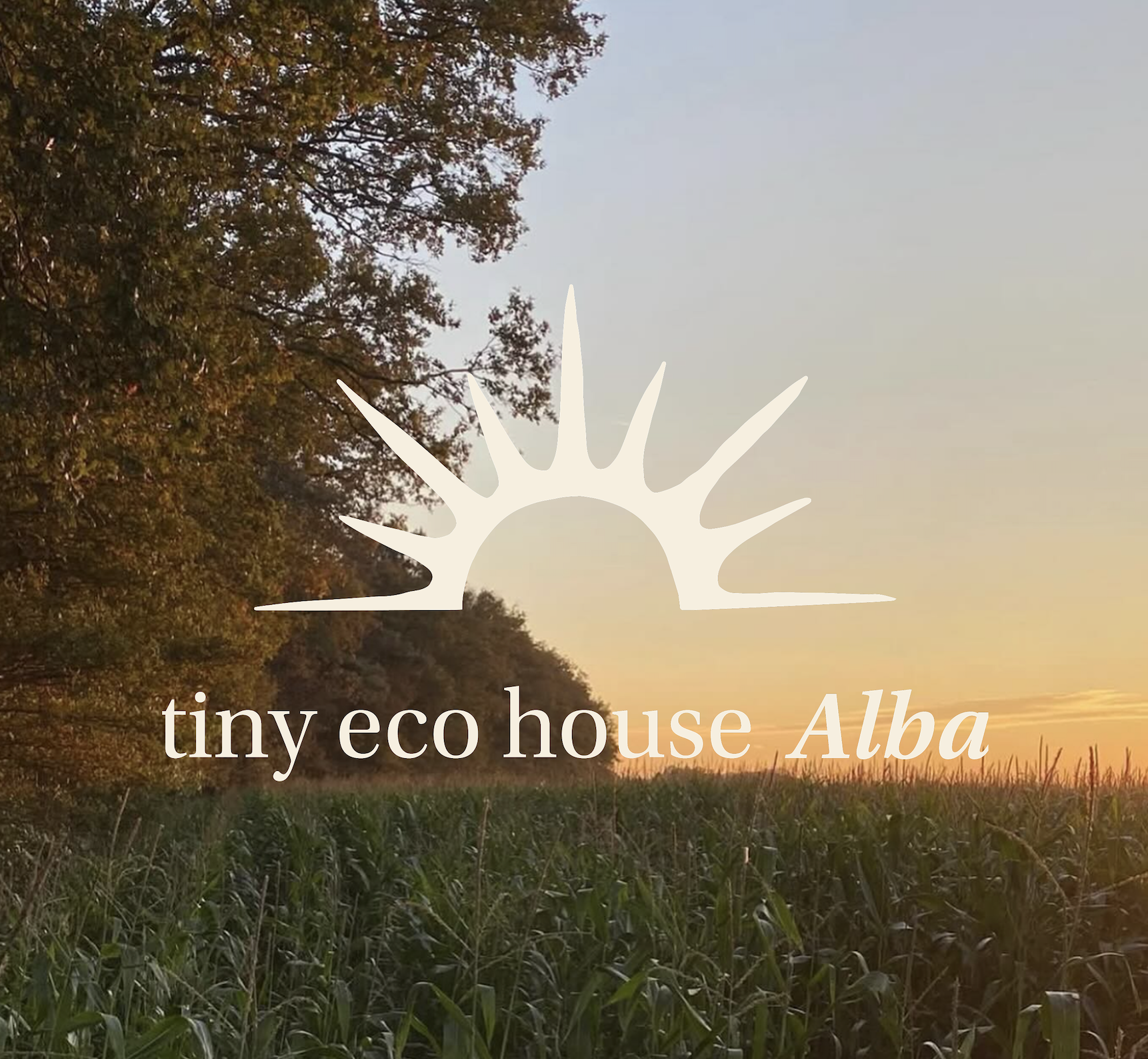 Alba is a multi disciplinary brand. It provides nature experiences, through a Tiny House rental in the dutch country side, as well as outdoor yoga. This image shows a corn field at sunset with the logo over the top!