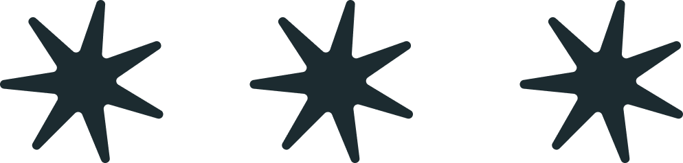 This is a star icon used by Studio Anemone throughout it's branding, this is a set of 3 starts in midnight blue used as a separator in the service tiers 