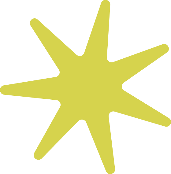 This is a star icon used by Studio Anemone throughout it's branding, in this case the colour is a bright pistachio;