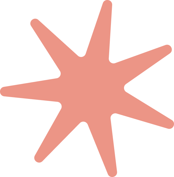 This is a star icon used by Studio Anemone throughout it's branding, in this case the colour is a dusty peach colour