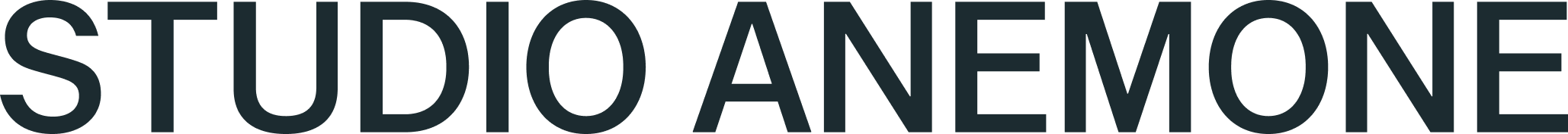 This is the main logo / wordmark of Studio Anemone. It is a simple sans serif font in medium weight. The colour is midnight blue. Studio anemone created branding experiences for Service providers and hospitality concepts 