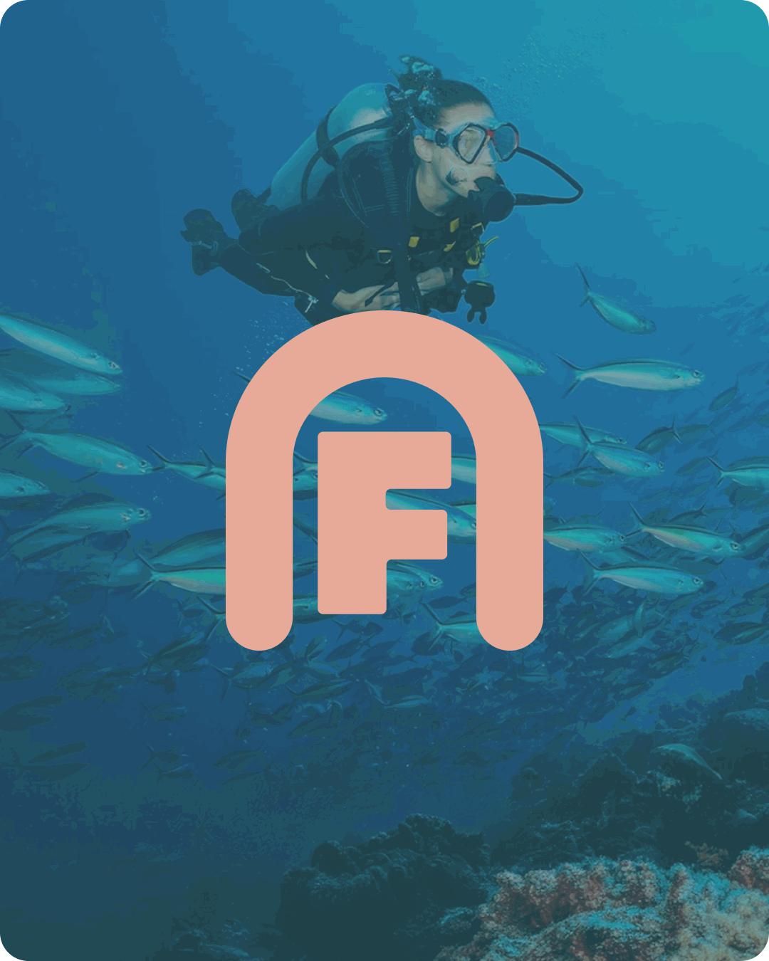 a gif presenting one of my projects: fishgate, a dive centre branding that is far from conventional