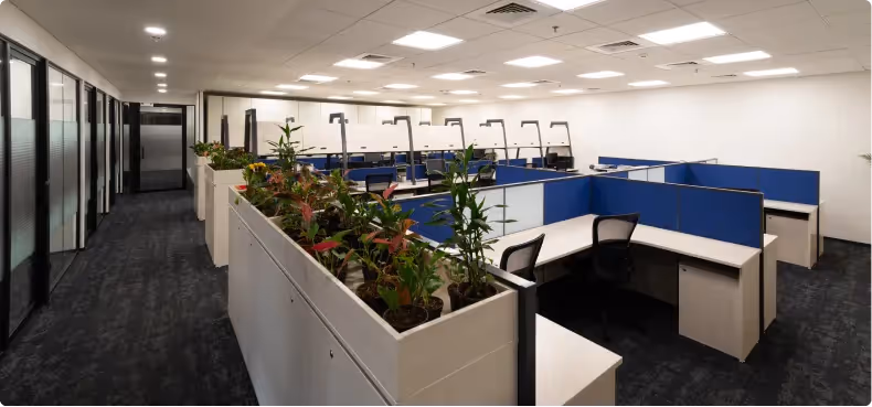 Horizontal’s Inviting Office Reception Area Designed by Phi Designs