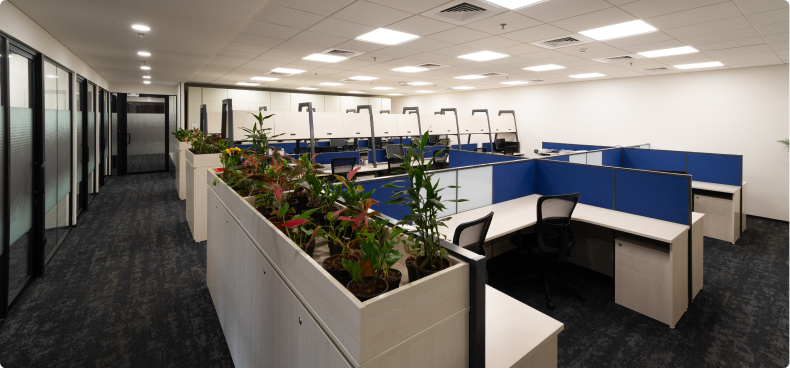 Horizontal’s Inviting Office Reception Area Designed by Phi Designs