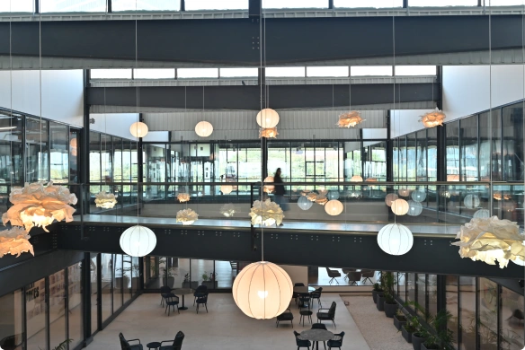 Deakin University modern indoor space with hanging spherical and floral pendant lights over tables and chairs.
