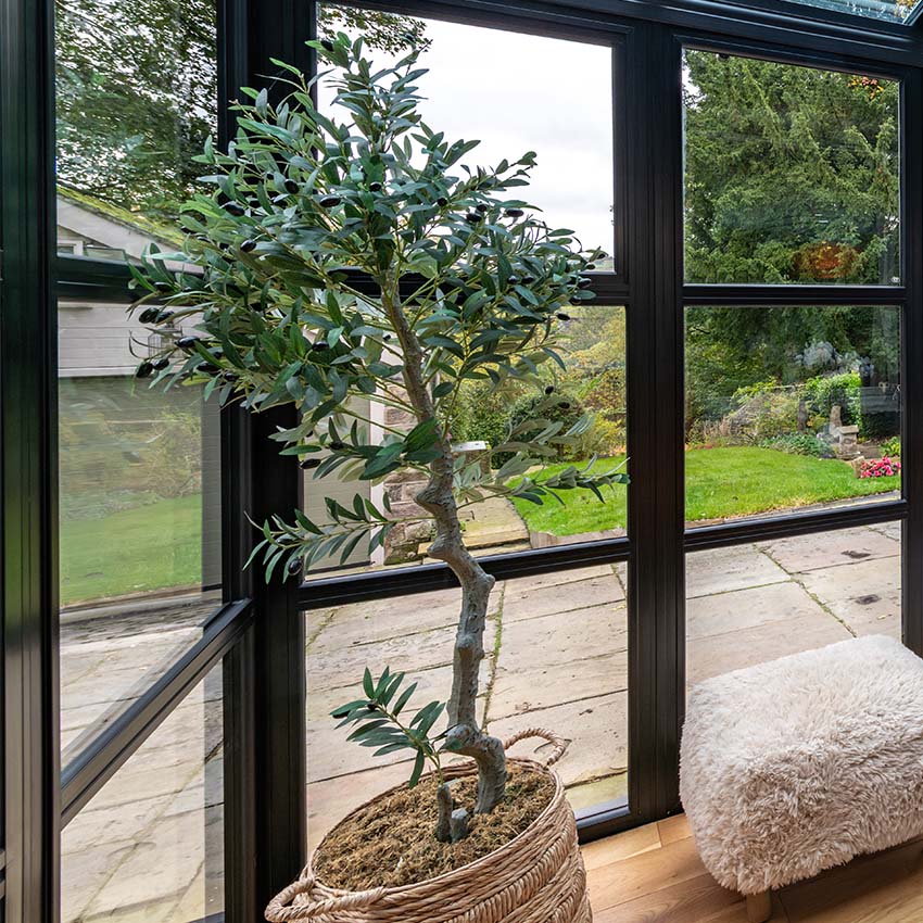 Close-up of Decorio black heritage-style aluminium glazing framing a bright garden view, with an indoor olive tree in a woven basket and natural stone patio outside