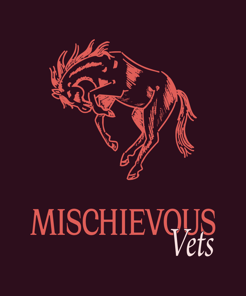 A rebellious Vet Clinic, this cover images shows a sketched wild mustang and the wordmark of the business Mischievous Vets (in an edgy serif + italic font) The background is deep Burgundy, while the logo is in a pink peach colout 