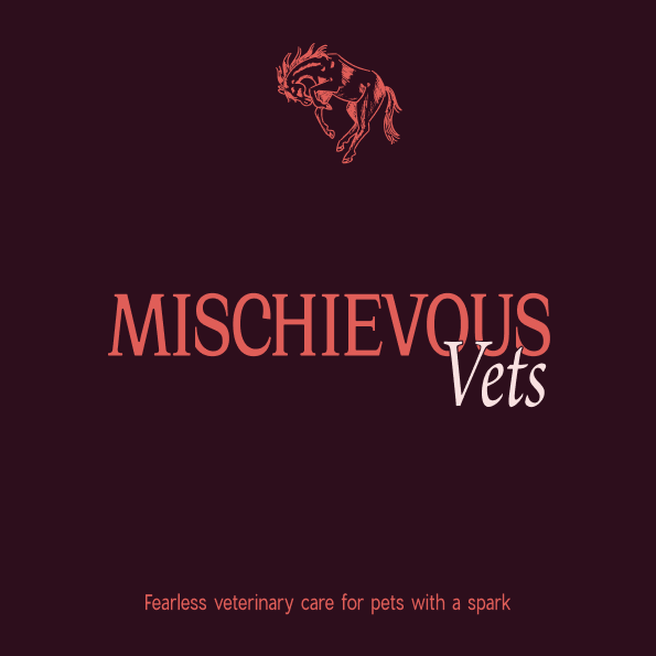 Mischievous Vets, A rebellious Veterinary Clinic: here you can see a series of social media templates, varying between images, that are vintage pet images, and the others are text based with the brand colours as background: Deep Burgundy or peach, and text