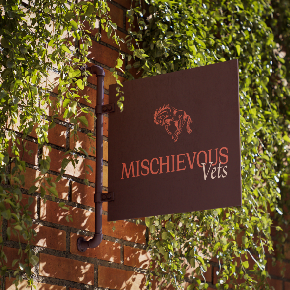 Mischievous Vets, A rebellious Veterinary Clinic: here you can see a mockup of a possible store sign hanging off a wall: showing the logo (wild mustang + edgy wordmark) on a Deep Burgundy the background is a Brik wall and green ivy 