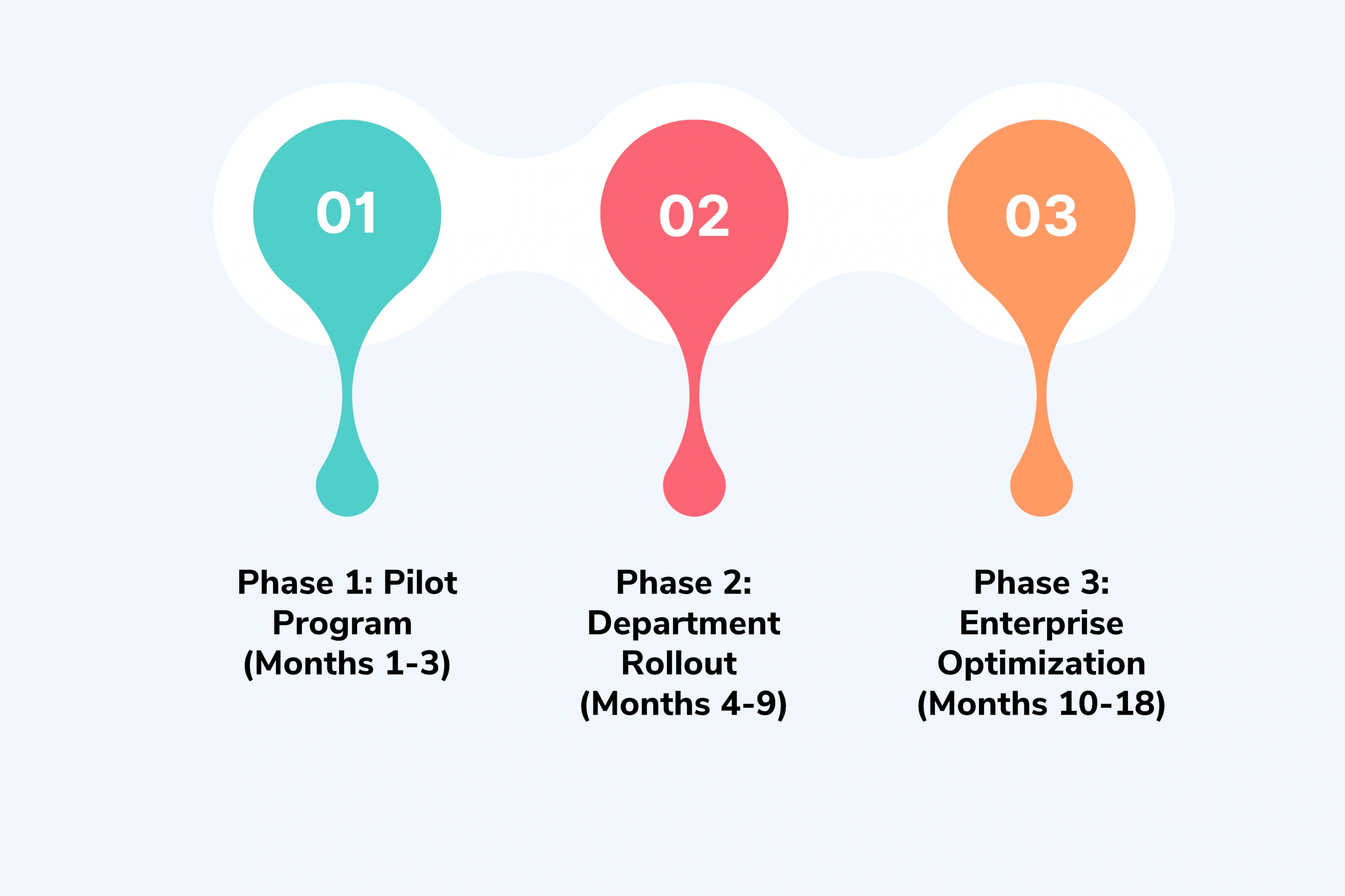 Implementation Strategy and Timeline