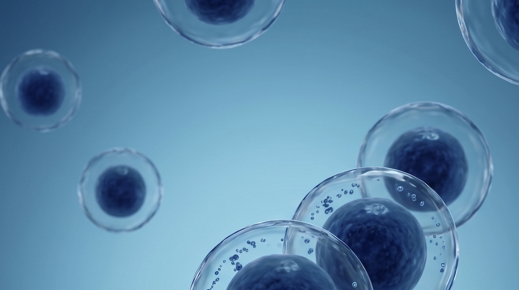 Sanmirna Therapeutics