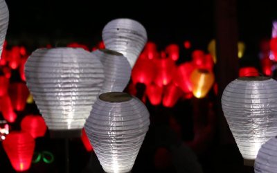 Please support Light the Night