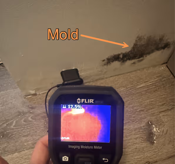 A FLIR moisture meter detects high moisture on a wall with a patch of black mold in a bathroom corner.