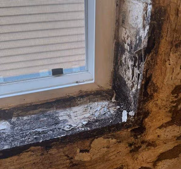 Severe black mold and water damage discovered on a decaying window sill and wall during a shower tear-out.