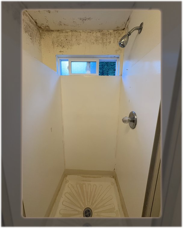 Before photo of a worn shower with visible ceiling mold and an aging fiberglass surround.