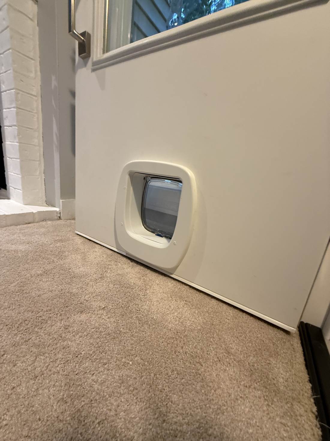 Close-up of the installed PetSafe cat door in the bottom panel of the new door