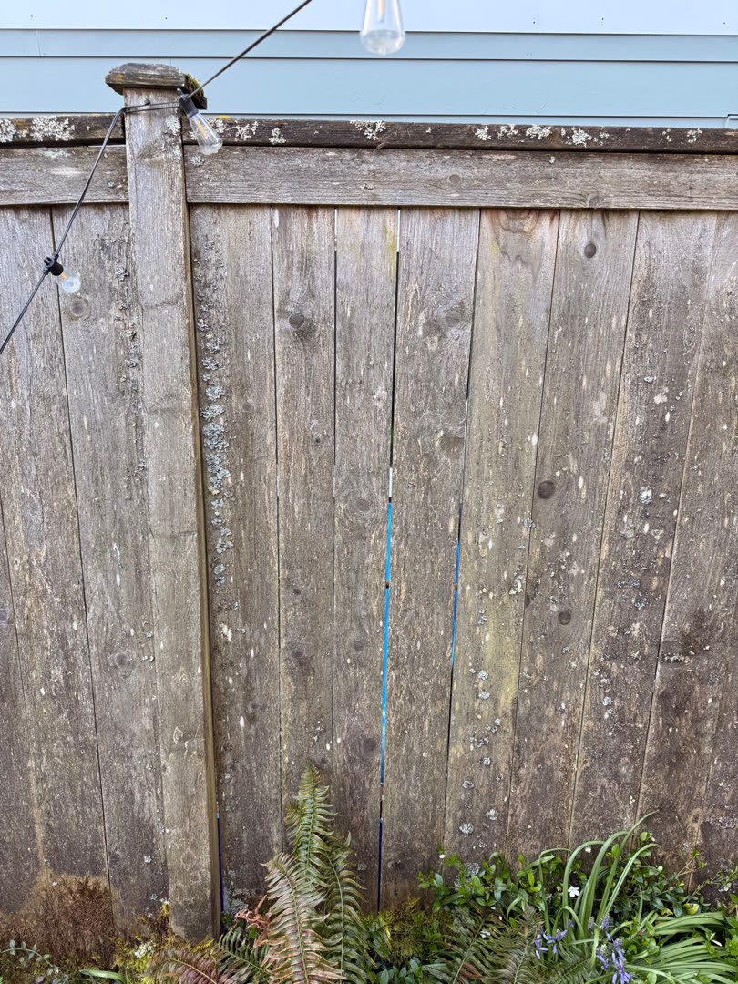 Weathered grey cedar fence covered in lichen before replacement.