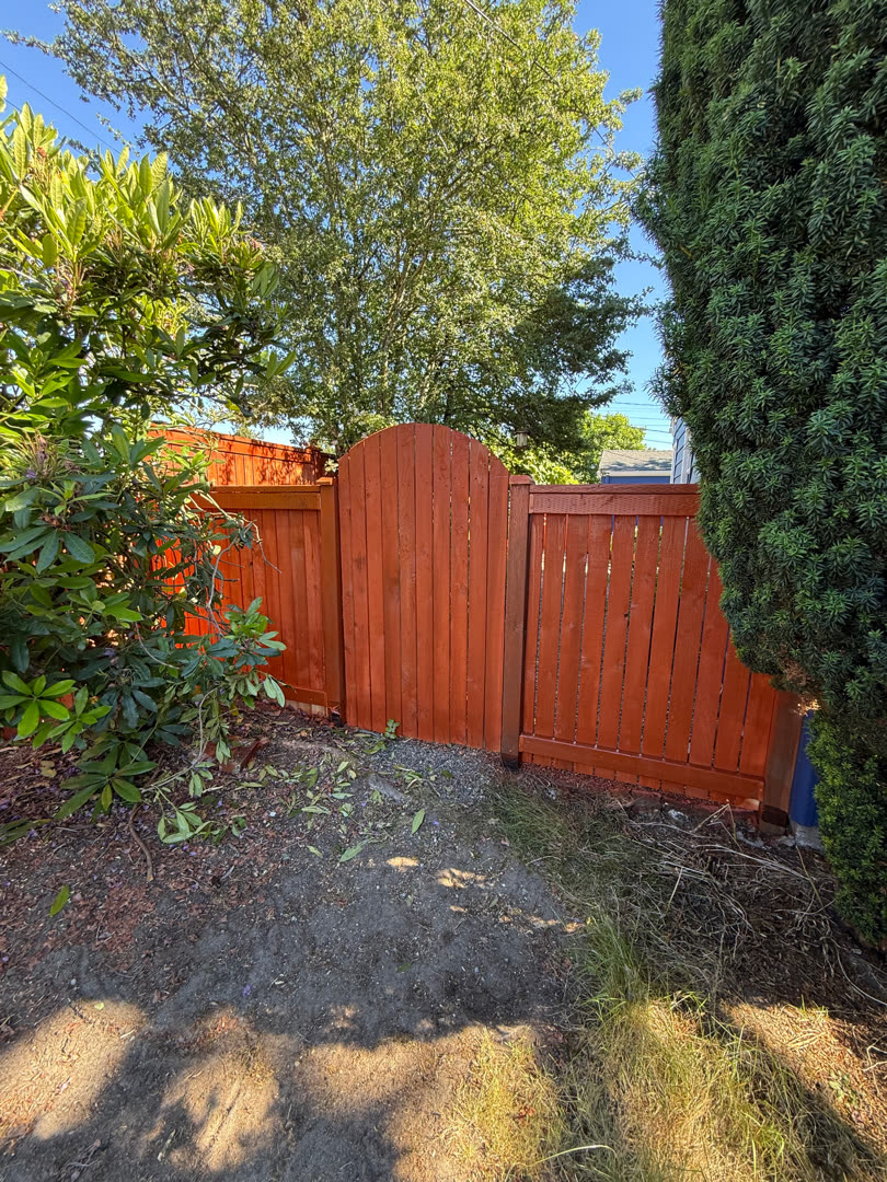 New arched cedar gate with redwood stain beside the old grey fence.