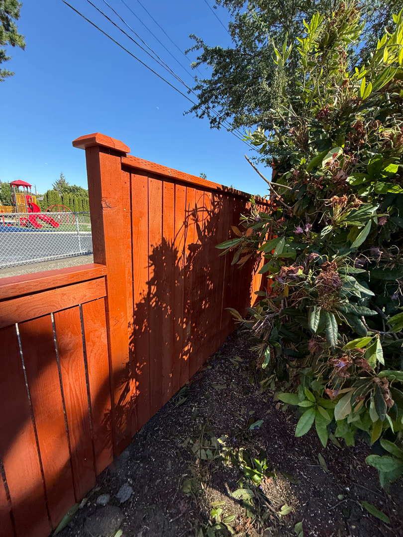 New stained cedar fence along the street with post caps.