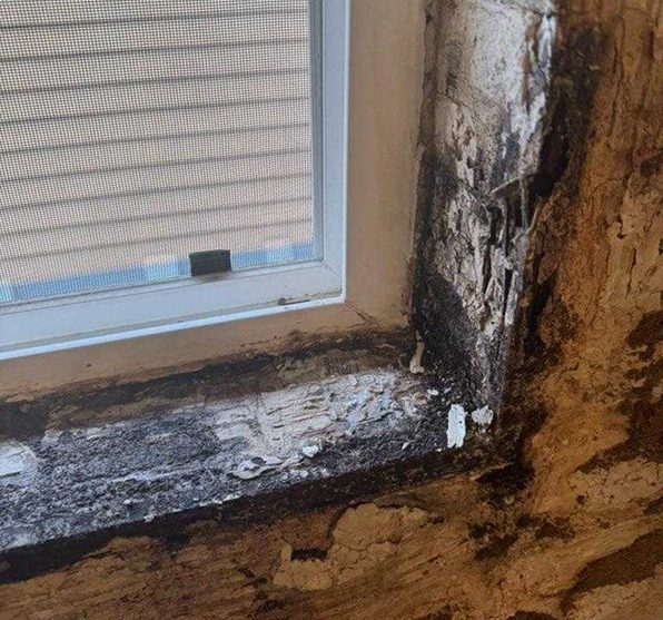 Black mold along a bathroom window sill and the rotted wood framing beside it.