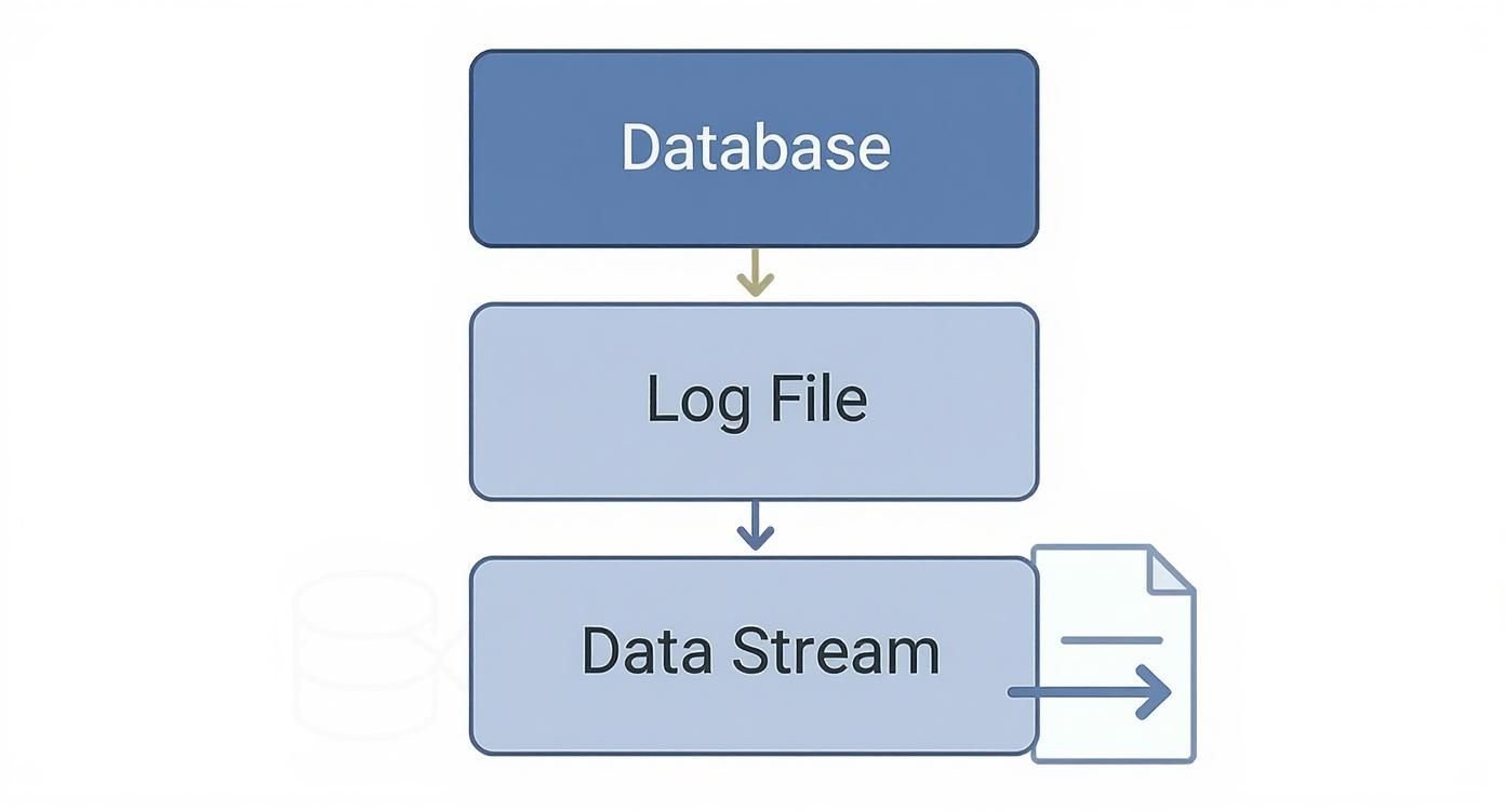 Infographic about real time database synchronization