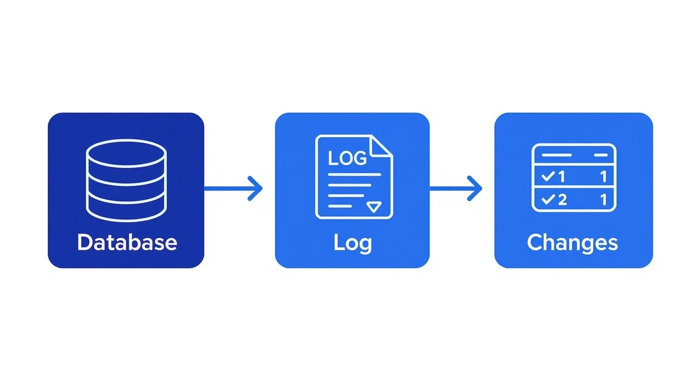 Infographic about change data capture sql server