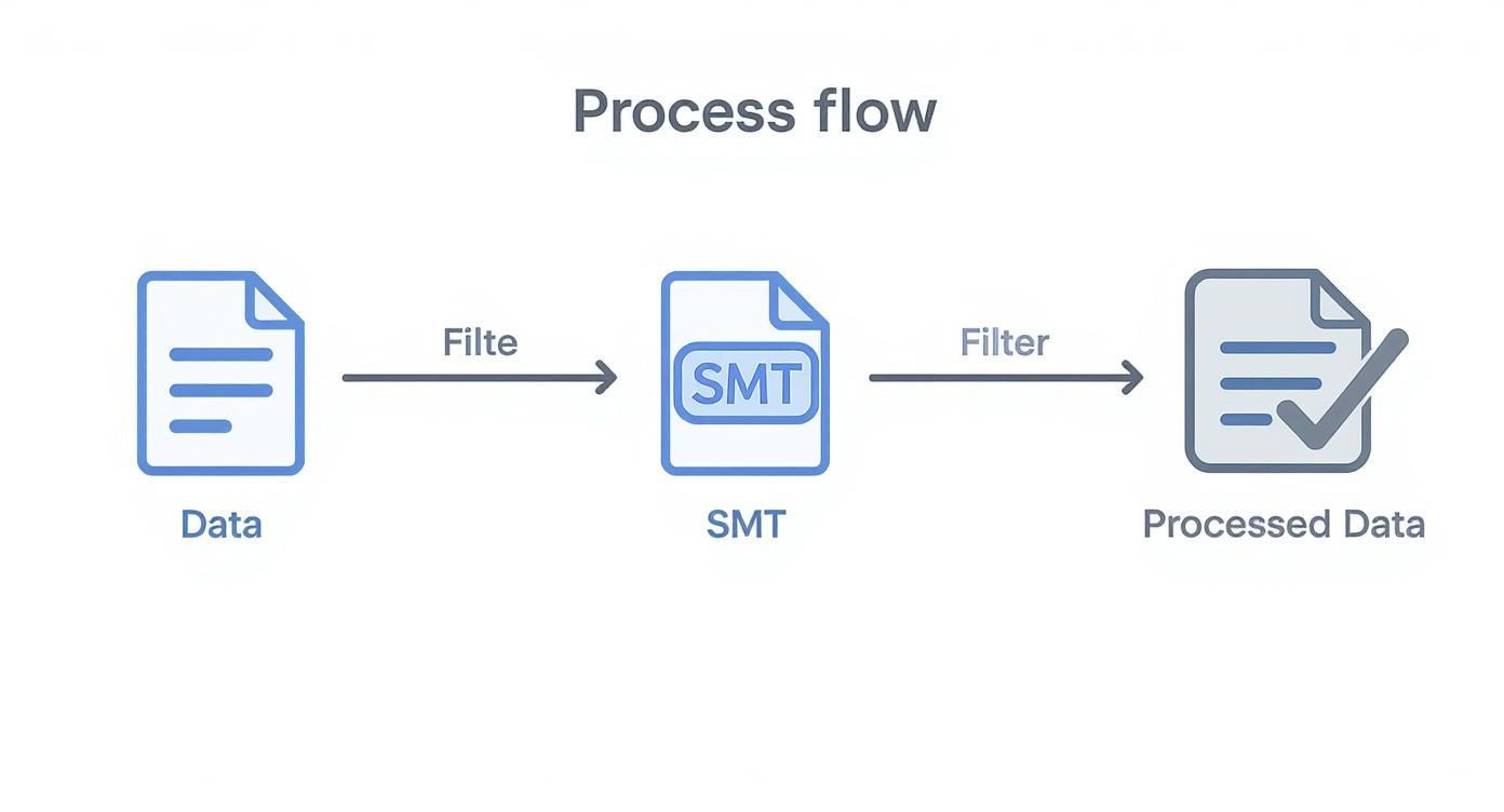 Process flow diagram showing raw data filtered to SMT, then filtered to processed data.