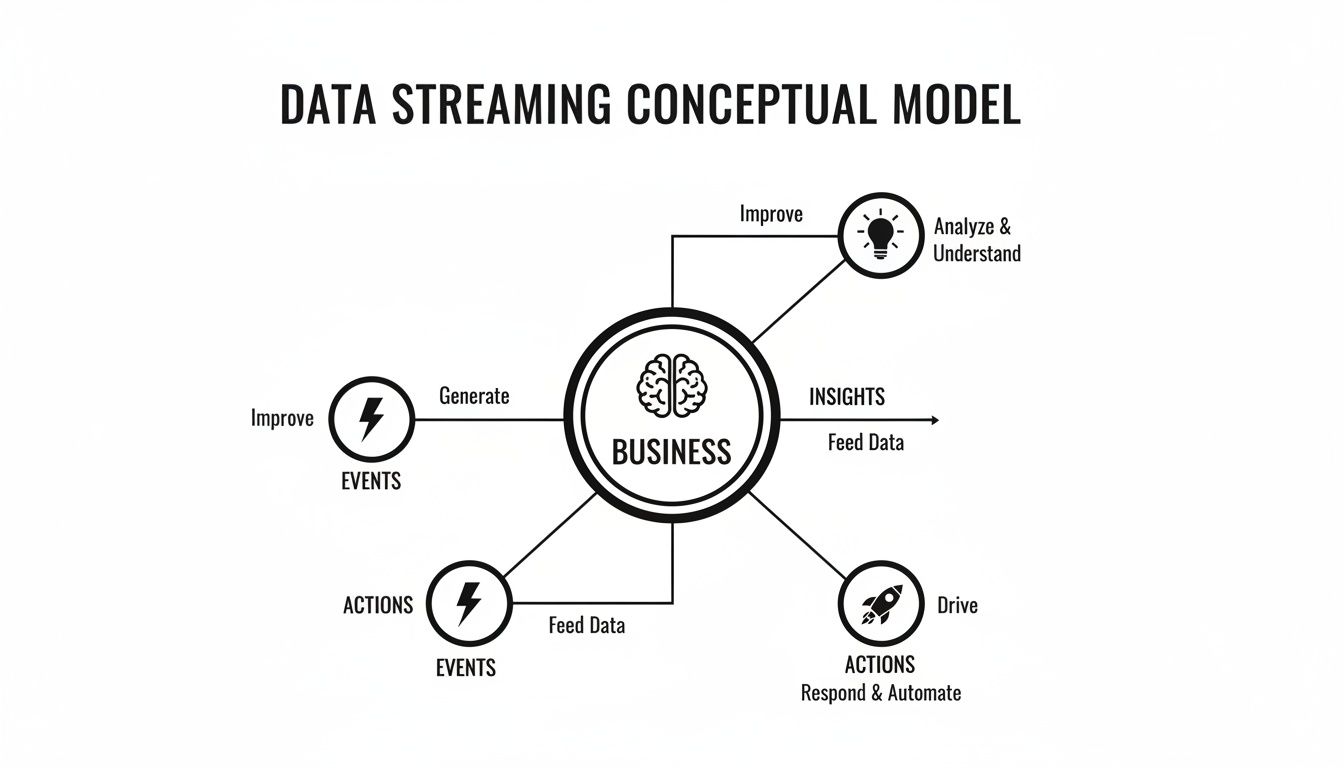 A conceptual data streaming model showing business at the center, connected to events, insights, and actions.