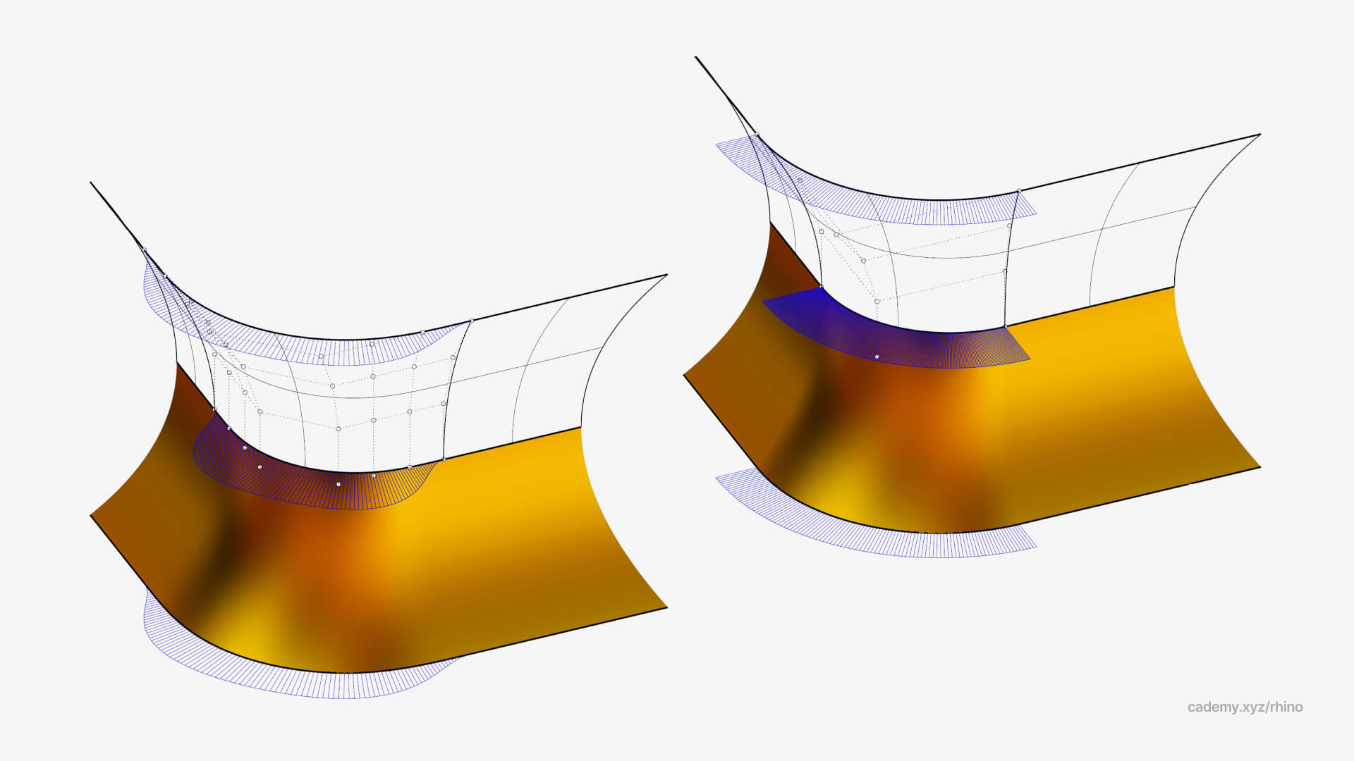 Nurbs surfaces Rhinoceros 3D model