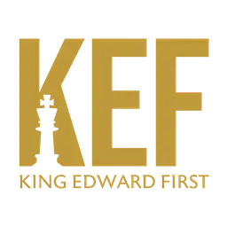 testimonial icon