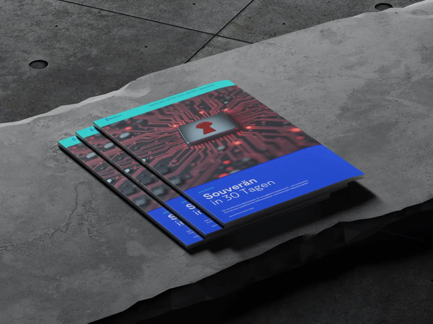 SecureCloud Whitepaper - Souverän in 30 Tagen