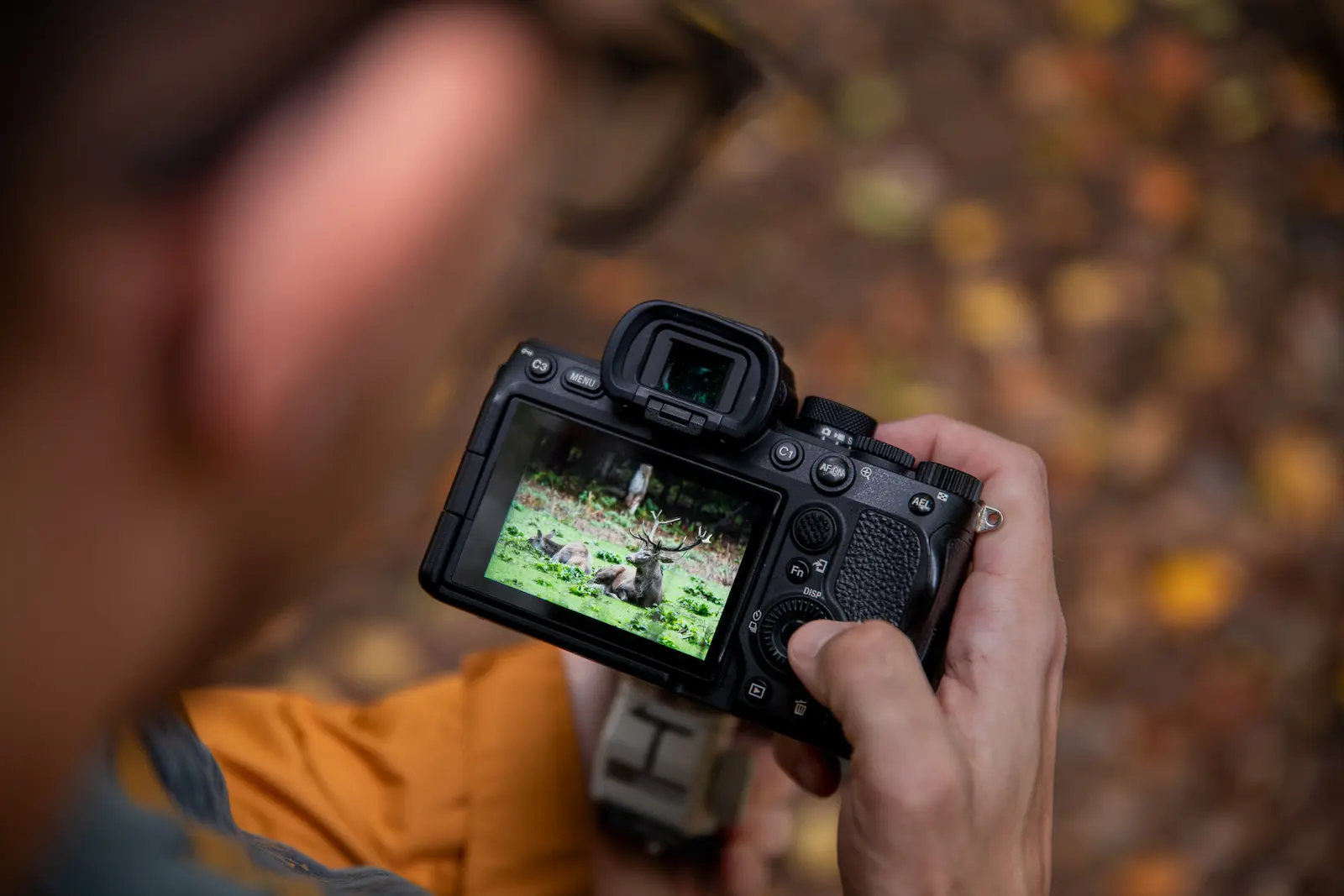 Photographer reviewing wildlife images on a camera screen during an outdoor photography session.