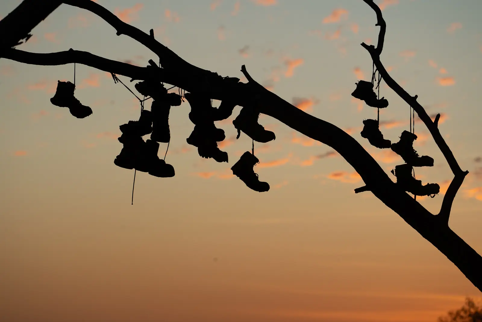 Silhouette of hiking boots hanging from a tree branch at sunset in Western Australia