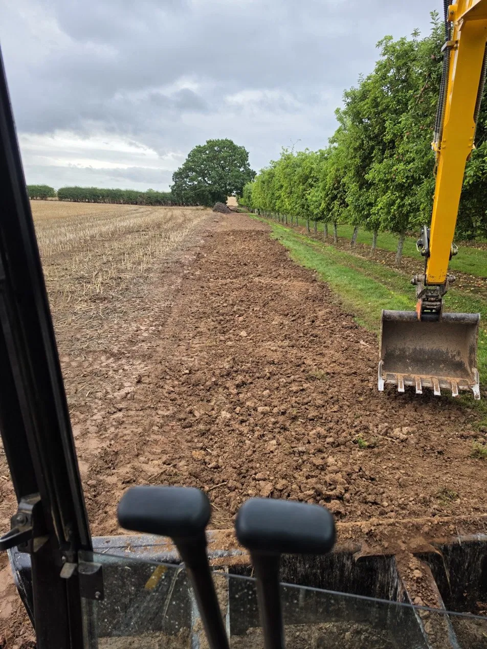 Topsoil strip alongside an orchard, taken from the excavator cab