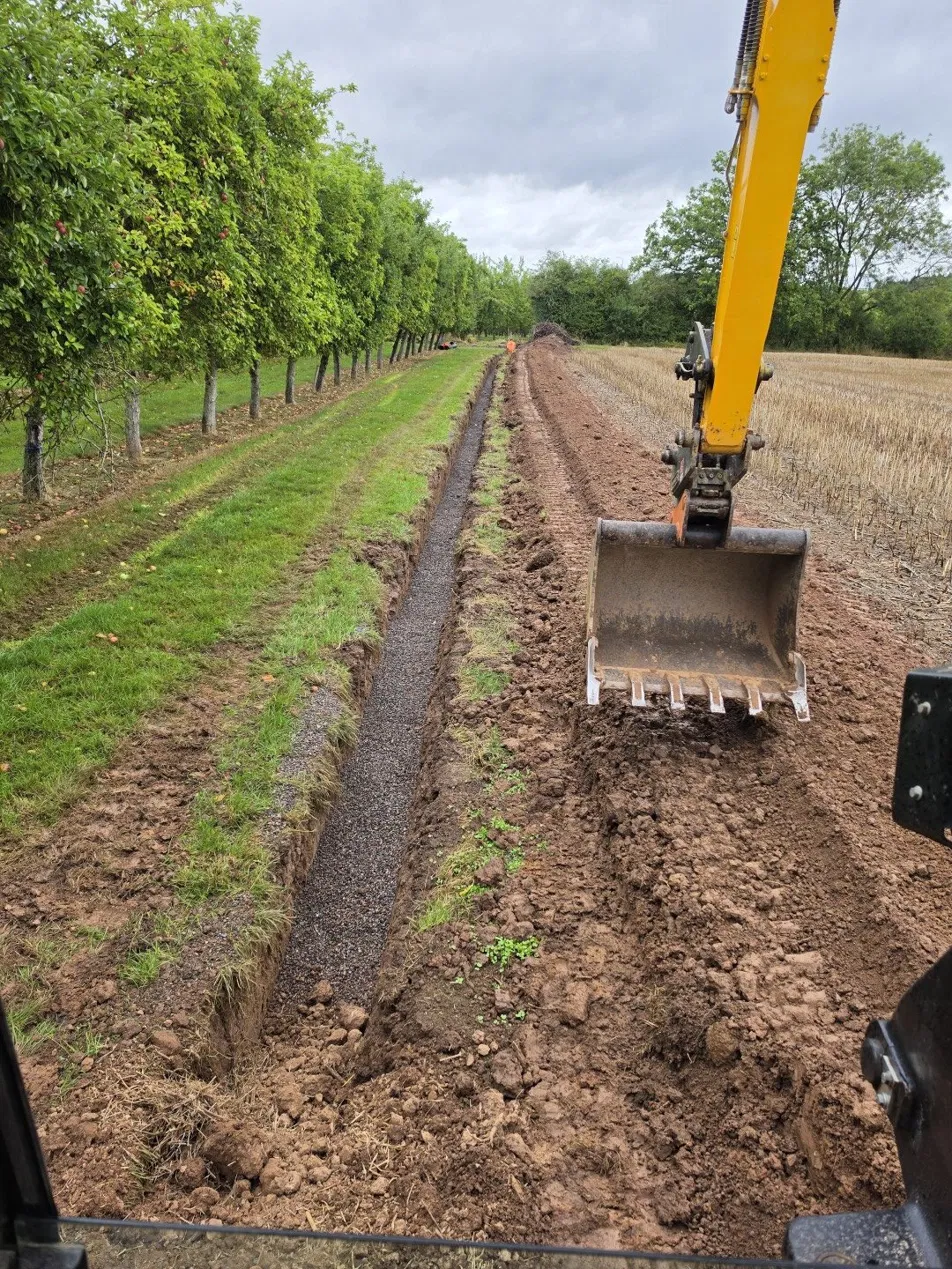 Trench backfilled with stone alongside an orchard