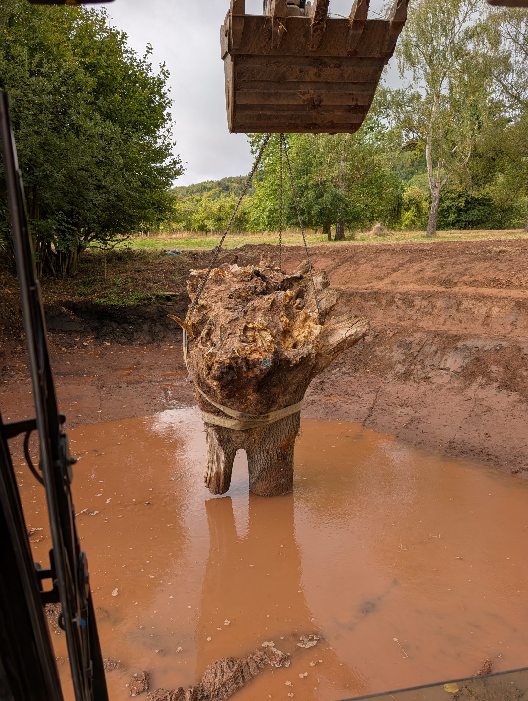 Excavator lifting a large tree stump out of a pond during earthworks