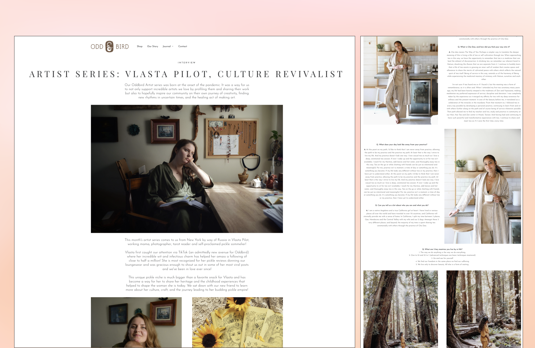 An Oddbird Journal article layout combining editorial photography with long-form text