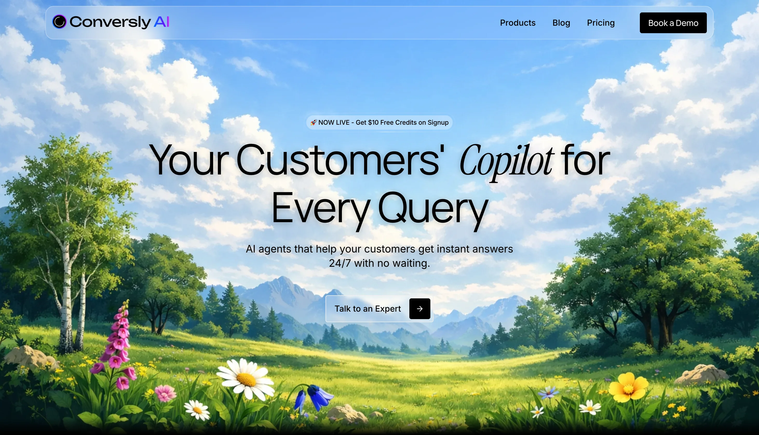 portfolio website images block