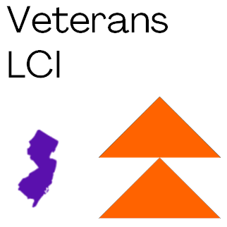 Business Analysis LCI