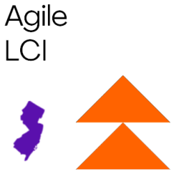 Business Analysis LCI