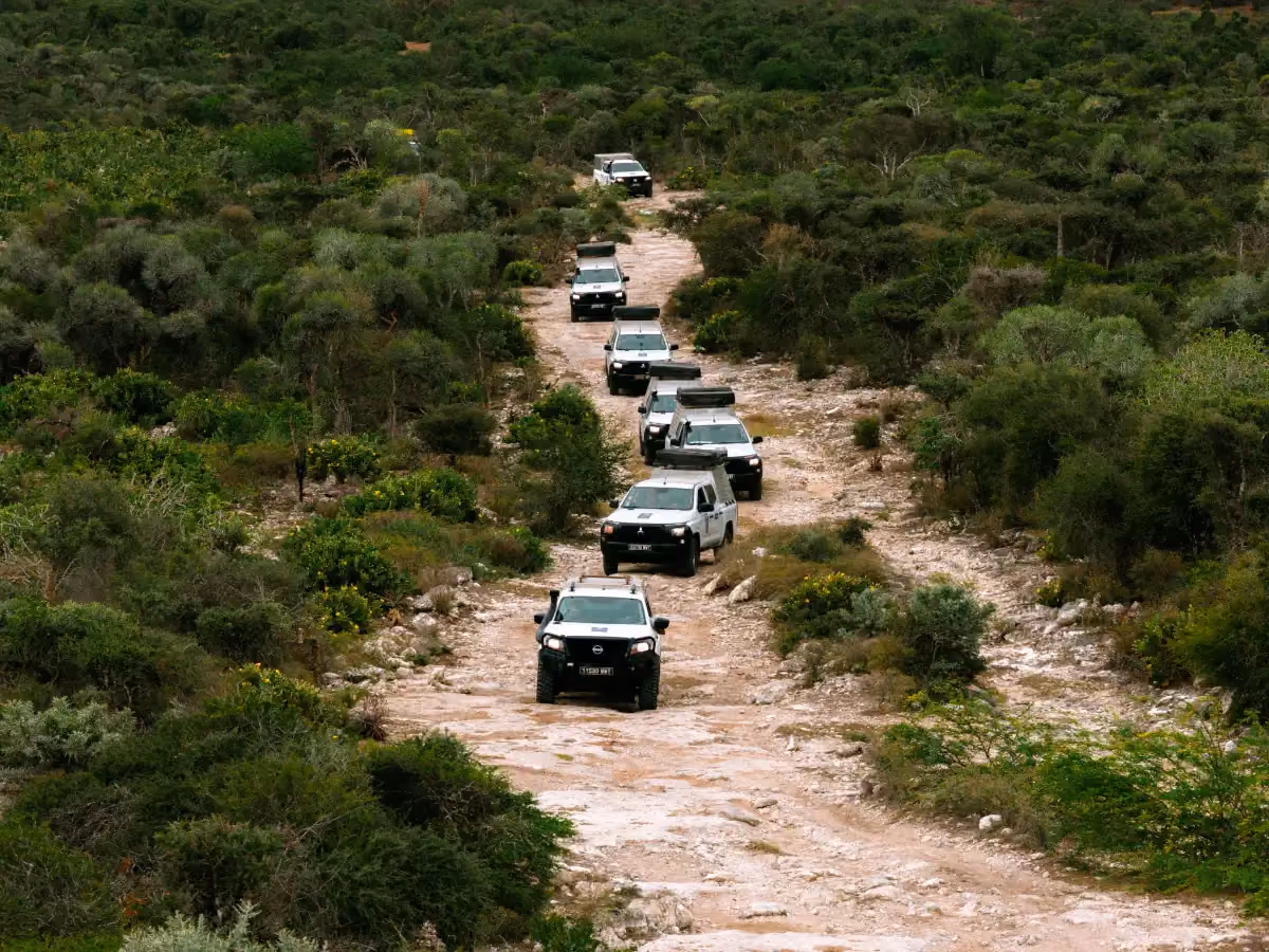 Untamed Wilderness expedition photo 3 – Madagascar