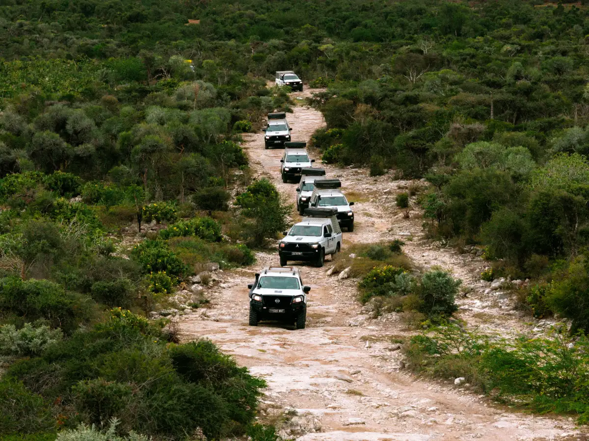 Untamed Wilderness expedition photo 3 – Madagascar