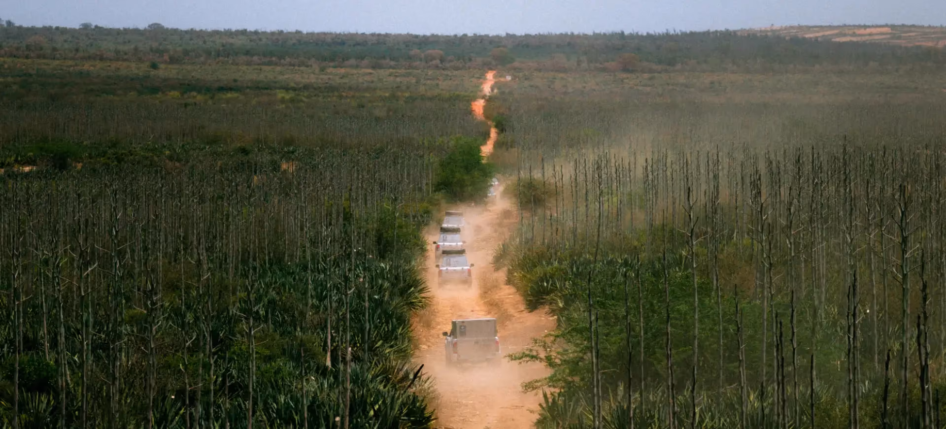 Southern Madagascar untamed wilderness 4x4 expedition archive