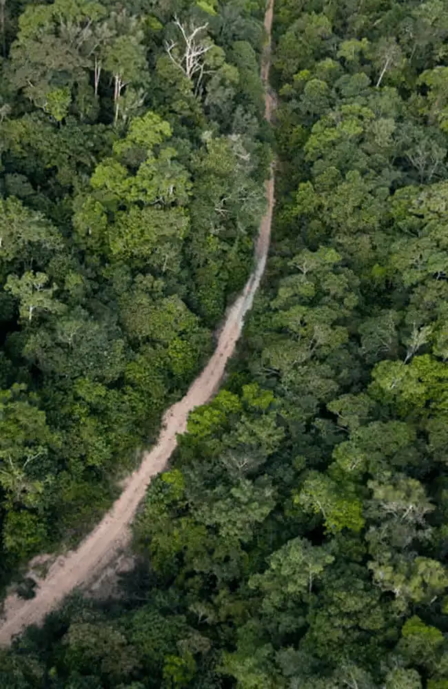 Black-sand volcanic trail descending from the Andes into the Amazon basin, Ecuador