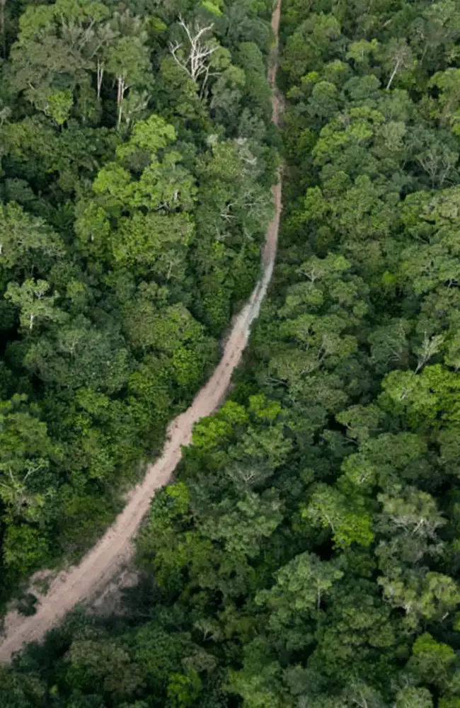 Black-sand volcanic trail descending from the Andes into the Amazon basin, Ecuador
