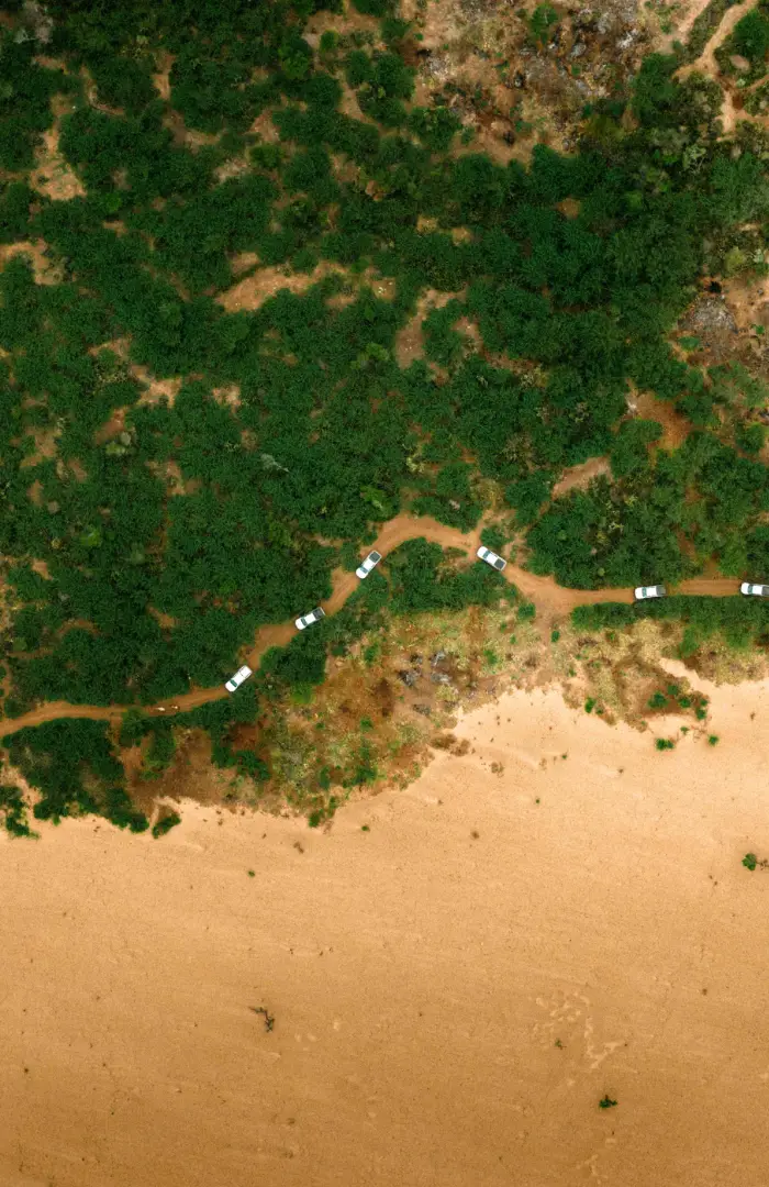 Remote sandy tracks and spiny forest paths in southern Madagascar's wilderness